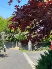 大山祇神社の建物その他