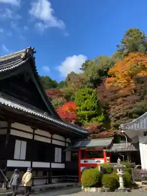柳谷観音　楊谷寺(京都府)