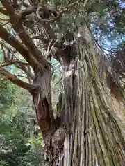 出雲神社(山口県)