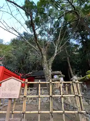 春日大社のその他建物