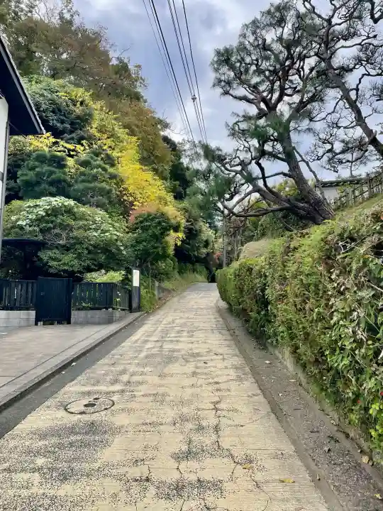 長壽寺(長寿寺)(神奈川県)