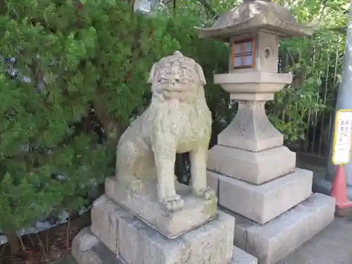 大江神社の狛犬