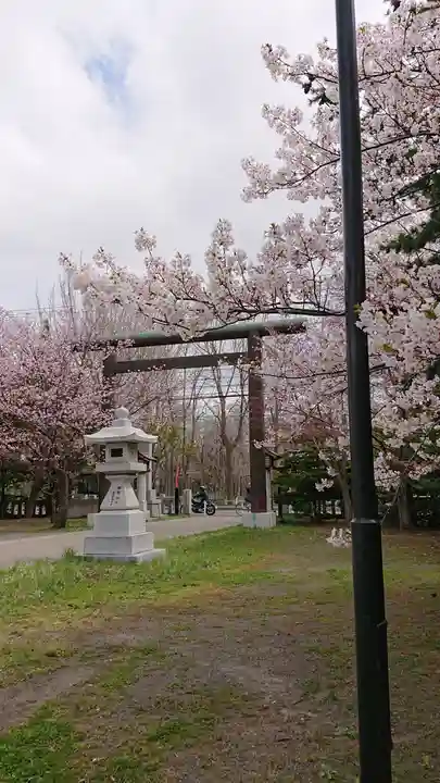 烈々布神社の鳥居