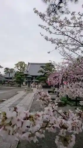 葛井寺の自然