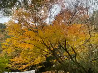 大本山七宝瀧寺(大阪府)