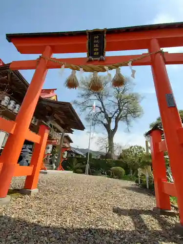 神祇遥拝殿の鳥居