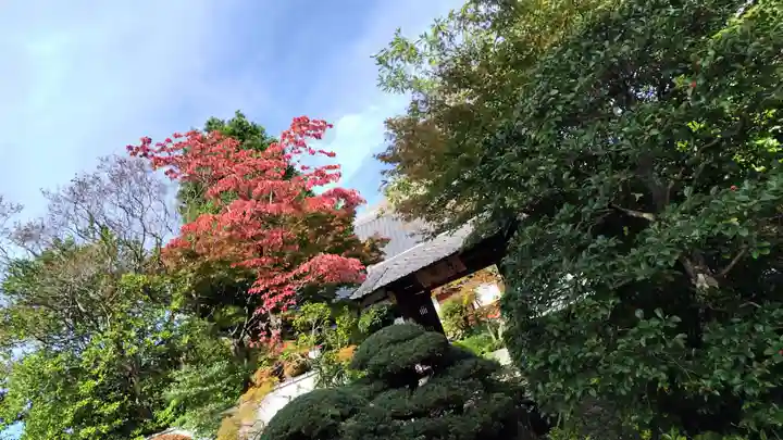 霊源院(京都府)