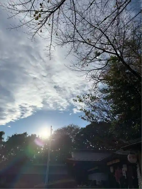 櫻木神社(千葉県)