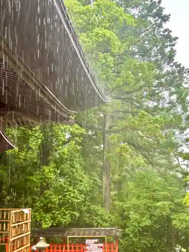 蚊里田八幡宮(長野県)