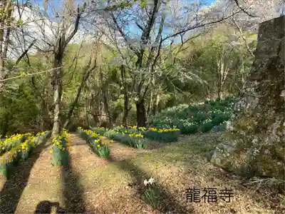 龍福寺 鳥羽堂観音(長野県)