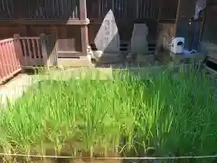 甲斐國一宮 浅間神社の自然