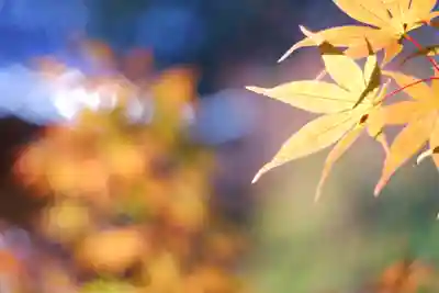 龍田大社(奈良県)