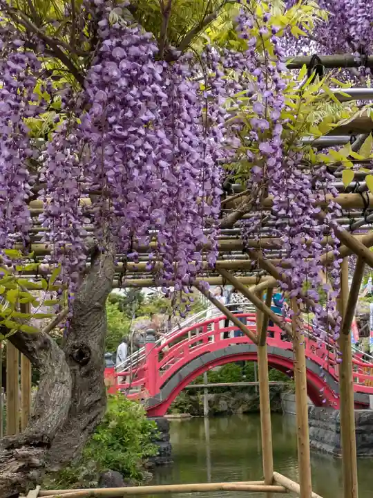 亀戸天神社(東京都)