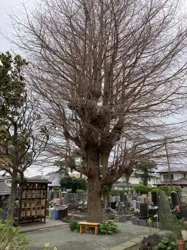千手院(神奈川県)