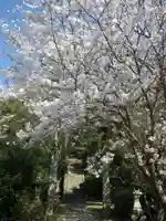 金切神社(山口県)