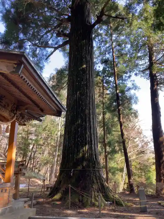 羽田神社の自然