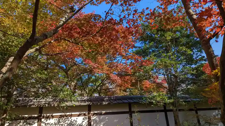 清凉寺(京都府)