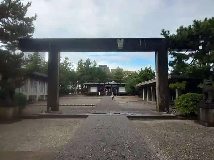 福井神社の鳥居