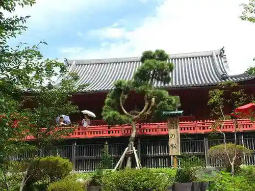 清水観音堂の本殿・本堂