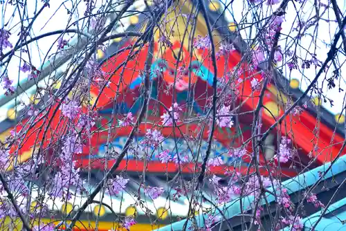 神田神社（神田明神）の自然