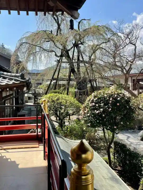 大光寺の{uncategorized: "未分類", other: "その他", undefined: "問題あり", building: "その他建物", grave: "お墓", sacred_gate: "鳥居", guardian: "狛犬", statue: "像", buddha: "仏像", history: "歴史", nature: "自然", garden: "庭園", animal: "動物", pagoda: "塔", temizu: "手水舎", mountain_gate: "山門・神門", sanctuary: "本殿・本堂", subordinate: "末社・摂社", art: "芸術", scenery: "景色", jizo: "地蔵", ema: "絵馬", goshuin: "御朱印", omikuji: "おみくじ", items: "授与品その他", amulet: "お守り", goshuincho: "御朱印帳", eats: "食事", festival: "お祭り", votive_dance: "神楽", shichigosan: "七五三参", wedding: "結婚式", experience: "体験その他", initially: "初詣", around: "周辺", anti_infection: "感染症対策"}