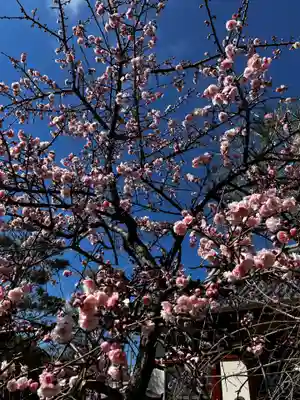 松本山 地福禅寺(滋賀県)