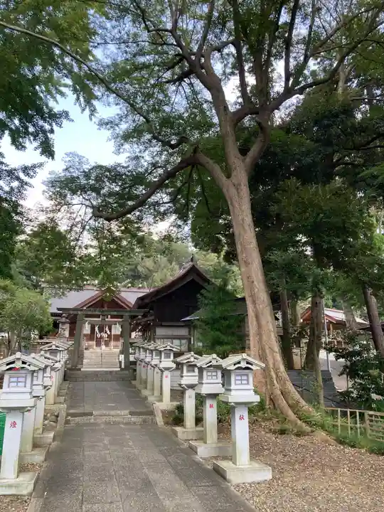 塚崎神明社(千葉県)