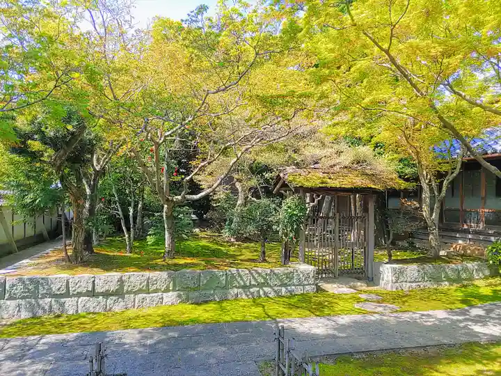 證玄寺の庭園