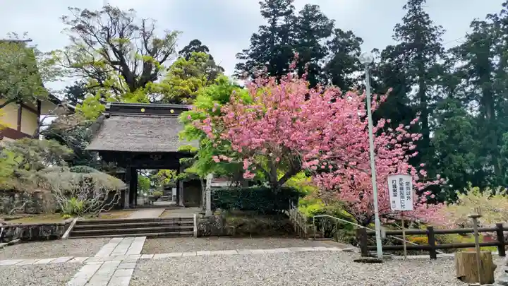 清澄寺(千葉県)
