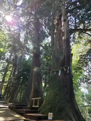 白山比咩神社の{uncategorized: "未分類", other: "その他", undefined: "問題あり", building: "その他建物", grave: "お墓", sacred_gate: "鳥居", guardian: "狛犬", statue: "像", buddha: "仏像", history: "歴史", nature: "自然", garden: "庭園", animal: "動物", pagoda: "塔", temizu: "手水舎", mountain_gate: "山門・神門", sanctuary: "本殿・本堂", subordinate: "末社・摂社", art: "芸術", scenery: "景色", jizo: "地蔵", ema: "絵馬", goshuin: "御朱印", omikuji: "おみくじ", items: "授与品その他", amulet: "お守り", goshuincho: "御朱印帳", eats: "食事", festival: "お祭り", votive_dance: "神楽", shichigosan: "七五三参", wedding: "結婚式", experience: "体験その他", initially: "初詣", around: "周辺", anti_infection: "感染症対策"}