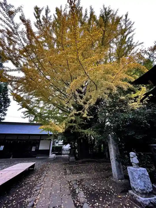 小平神明宮(東京都)