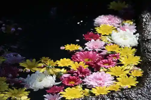 大鏑神社の手水