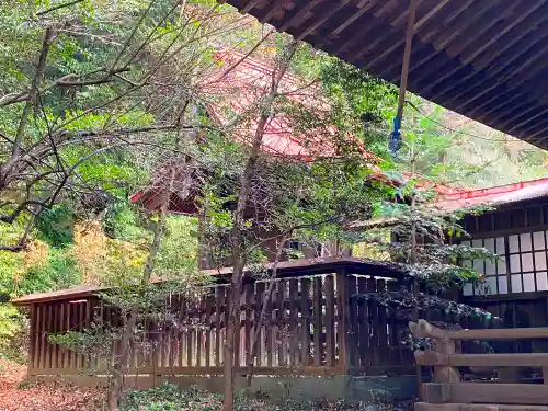 阿豆佐味天神社の本殿・本堂