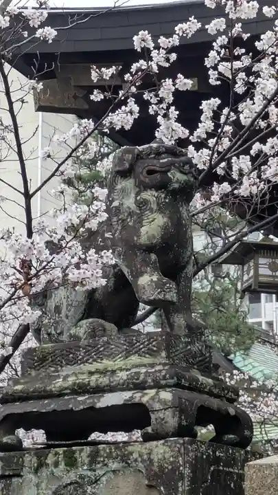 天孫神社(滋賀県)