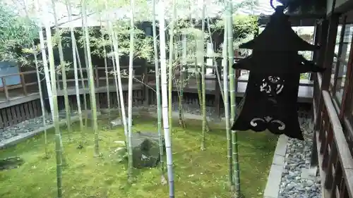 妙顯寺（妙顕寺）の庭園