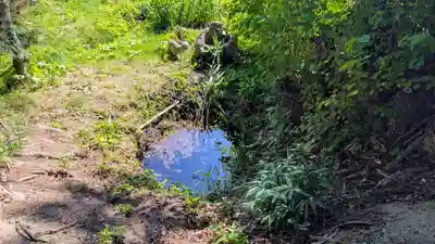 卯子酉神社の自然
