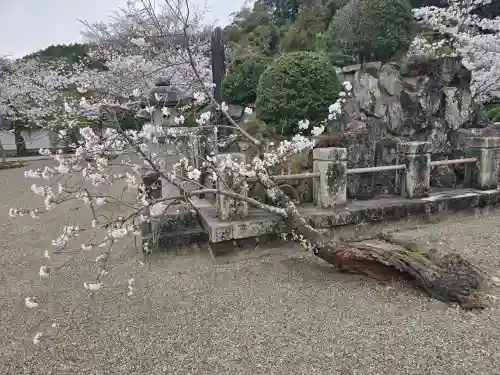 粉河寺(和歌山県)