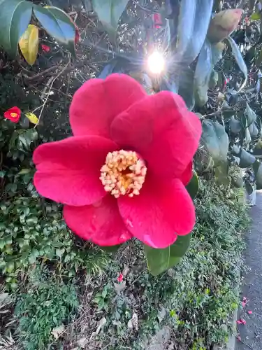 東運寺の{uncategorized: "未分類", other: "その他", undefined: "問題あり", building: "その他建物", grave: "お墓", sacred_gate: "鳥居", guardian: "狛犬", statue: "像", buddha: "仏像", history: "歴史", nature: "自然", garden: "庭園", animal: "動物", pagoda: "塔", temizu: "手水舎", mountain_gate: "山門・神門", sanctuary: "本殿・本堂", subordinate: "末社・摂社", art: "芸術", scenery: "景色", jizo: "地蔵", ema: "絵馬", goshuin: "御朱印", omikuji: "おみくじ", items: "授与品その他", amulet: "お守り", goshuincho: "御朱印帳", eats: "食事", festival: "お祭り", votive_dance: "神楽", shichigosan: "七五三参", wedding: "結婚式", experience: "体験その他", initially: "初詣", around: "周辺", anti_infection: "感染症対策"}