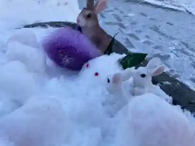 彌彦神社　(伊夜日子神社)の像