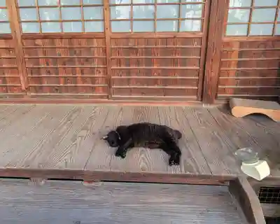 圓光寺(愛媛県)