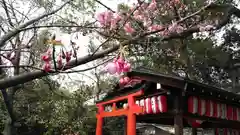 平野神社の自然