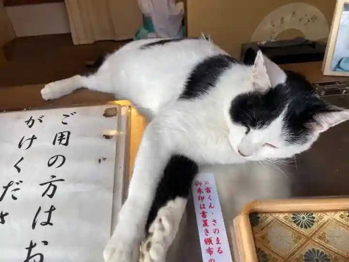 賀茂別雷神社の動物