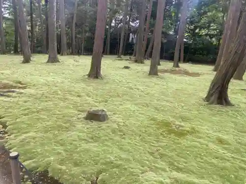 唐招提寺(奈良県)