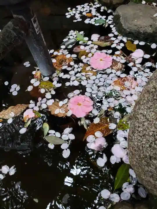 神明氷川神社(東京都)