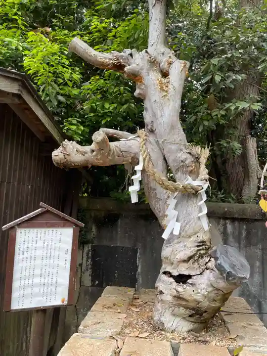 三田天満宮(兵庫県)