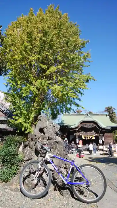 菊田神社(千葉県)