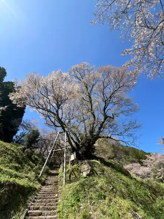 仏隆寺の{uncategorized: "未分類", other: "その他", undefined: "問題あり", building: "その他建物", grave: "お墓", sacred_gate: "鳥居", guardian: "狛犬", statue: "像", buddha: "仏像", history: "歴史", nature: "自然", garden: "庭園", animal: "動物", pagoda: "塔", temizu: "手水舎", mountain_gate: "山門・神門", sanctuary: "本殿・本堂", subordinate: "末社・摂社", art: "芸術", scenery: "景色", jizo: "地蔵", ema: "絵馬", goshuin: "御朱印", omikuji: "おみくじ", items: "授与品その他", amulet: "お守り", goshuincho: "御朱印帳", eats: "食事", festival: "お祭り", votive_dance: "神楽", shichigosan: "七五三参", wedding: "結婚式", experience: "体験その他", initially: "初詣", around: "周辺", anti_infection: "感染症対策"}