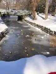 多賀神社の動物