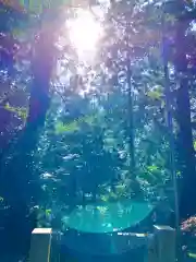 飯綱神社(愛宕神社奥社)(茨城県)