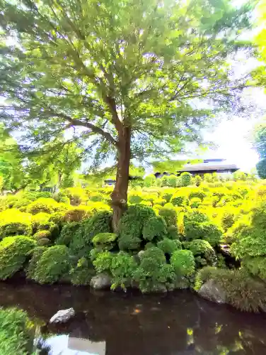 根津神社の{uncategorized: "未分類", other: "その他", undefined: "問題あり", building: "その他建物", grave: "お墓", sacred_gate: "鳥居", guardian: "狛犬", statue: "像", buddha: "仏像", history: "歴史", nature: "自然", garden: "庭園", animal: "動物", pagoda: "塔", temizu: "手水舎", mountain_gate: "山門・神門", sanctuary: "本殿・本堂", subordinate: "末社・摂社", art: "芸術", scenery: "景色", jizo: "地蔵", ema: "絵馬", goshuin: "御朱印", omikuji: "おみくじ", items: "授与品その他", amulet: "お守り", goshuincho: "御朱印帳", eats: "食事", festival: "お祭り", votive_dance: "神楽", shichigosan: "七五三参", wedding: "結婚式", experience: "体験その他", initially: "初詣", around: "周辺", anti_infection: "感染症対策"}